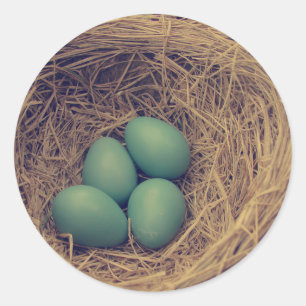 Robin Nest und Eier Runder Aufkleber