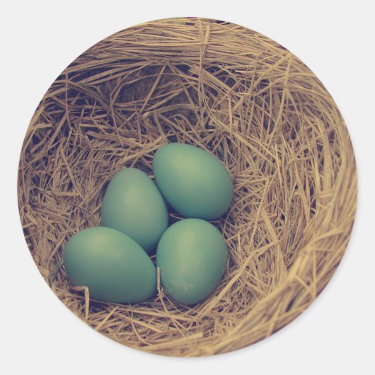 Robin Nest und Eier Runder Aufkleber (Vorderseite)