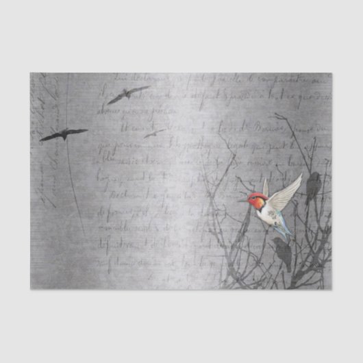 Robin nimmt Flight Seidenpapier (Vorderseite)