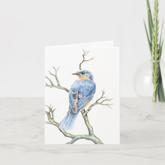 Robin Note Card (Vorderseite)
