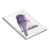 Robin Notizblock (Rechte Seite)