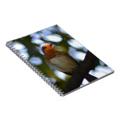 Robin Notizblock (Rechte Seite)