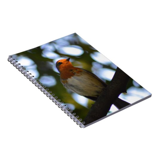 Robin Notizblock (Rechte Seite)