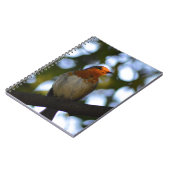 Robin Notizblock (Linke Seite)