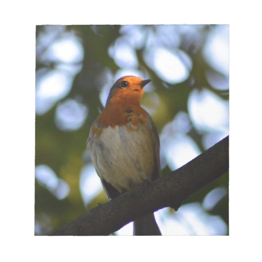 Robin Notizblock (Vorderseite)