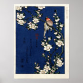 Robin on a Branch of Cherry Blossoms von K. Hokusi Poster (Vorne)