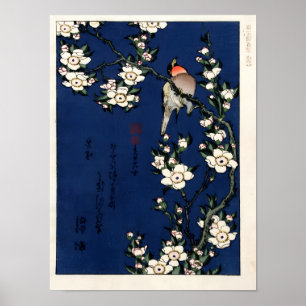 Robin on a Branch of Cherry Blossoms von K. Hokusi Poster