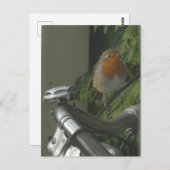 Robin on Bicycle Nah Up DIY Postkarte (Vorne/Hinten)