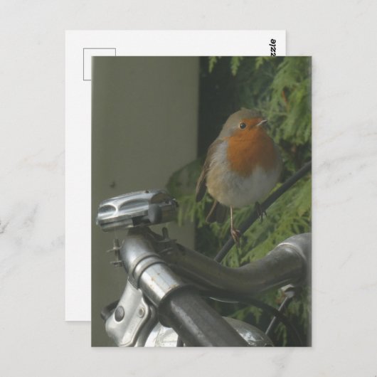 Robin on Bicycle Nah Up DIY Postkarte (Vorne/Hinten)
