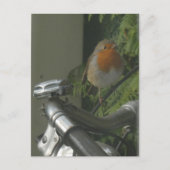 Robin on Bicycle Nah Up DIY Postkarte (Vorderseite)