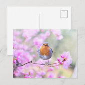 Robin on Branch Postcard Postkarte (Vorne/Hinten)