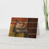 Robin on Nest Dankeskarte (Vorderseite)