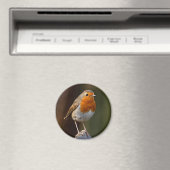 Robin on Post Magnet (In Situ (Geschirrspüler))