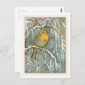 Robin on Snowy Tree Branch Postkarte (Vorne/Hinten)