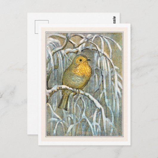 Robin on Snowy Tree Branch Postkarte (Vorne/Hinten)