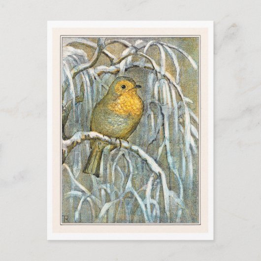 Robin on Snowy Tree Branch Postkarte (Vorderseite)