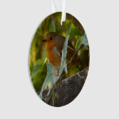 Robin Ornament (Vorderseite)