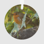Robin Ornament (Rückseite)