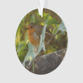 Robin Ornament (Vorderseite)