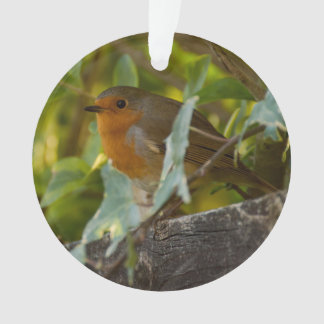 Robin Ornament
