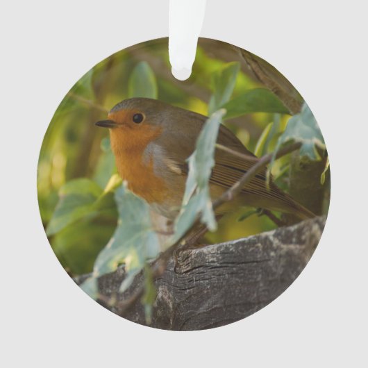 Robin Ornament (Vorderseite)