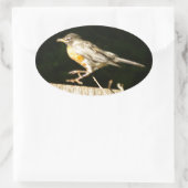 Robin Ovaler Aufkleber (Tasche)