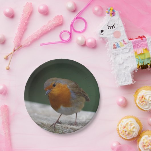 Robin Paper Teller (Party)