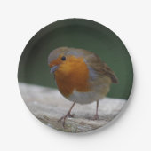 Robin Paper Teller (Vorderseite)