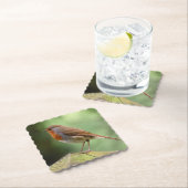 Robin Paper Untersetzer (Vor Ort)