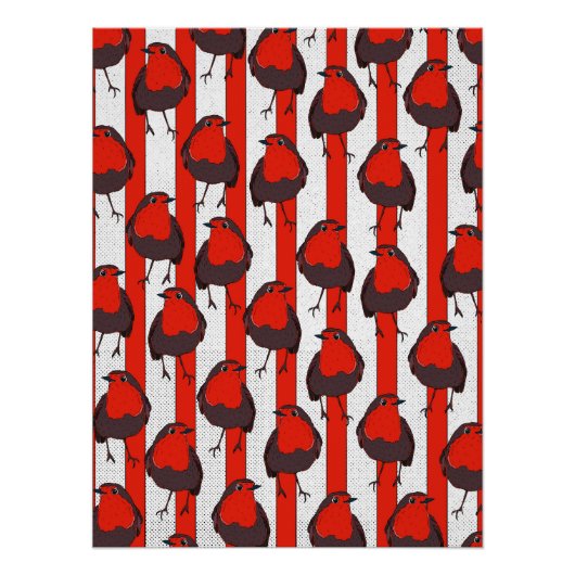 Robin Pattern Poster (Vorderseite)