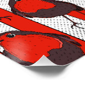 Robin Pattern Poster (Ecke)