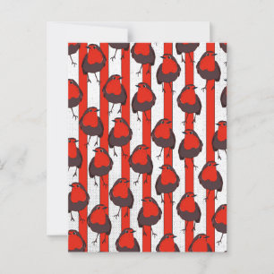 Robin Pattern Postkarte