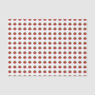 Robin Pattern Seidenpapier
