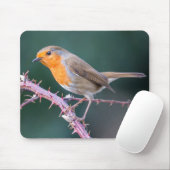 Robin Perched auf einer BlackBerry-Zweigniederlass Mousepad (Mit Mouse)