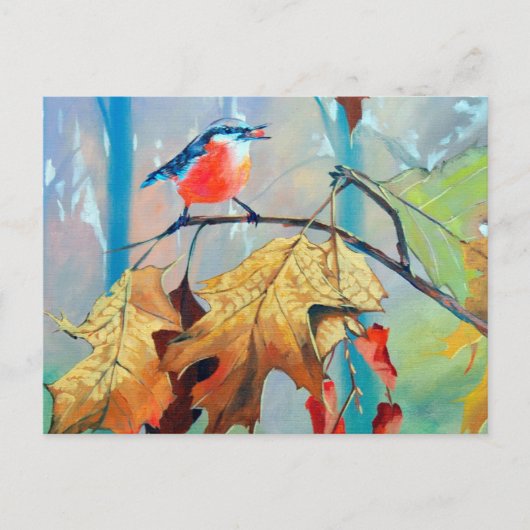 Robin Postcard Postkarte (Vorderseite)