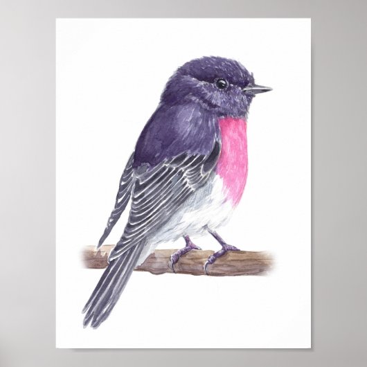 Robin Poster (Vorne)