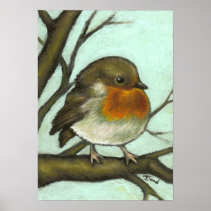 Robin Poster