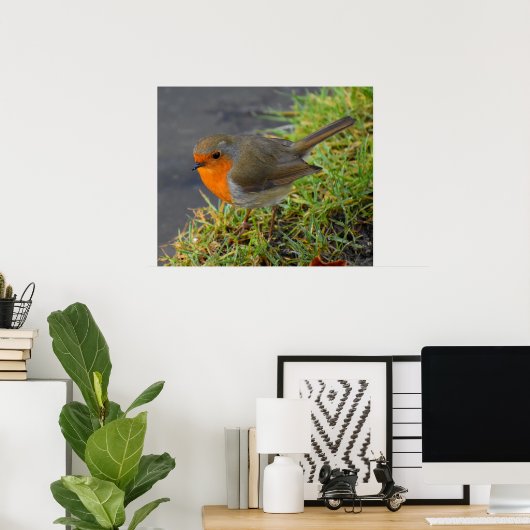 Robin Poster (Heimbüro)