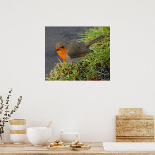 Robin Poster (Küche)
