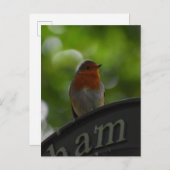 Robin Postkarte (Vorne/Hinten)