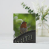Robin Postkarte (Stehend Vorderseite)