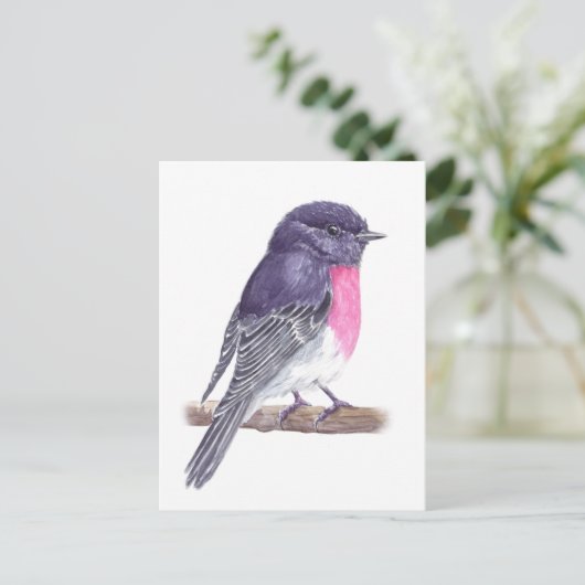 Robin Postkarte (Stehend Vorderseite)