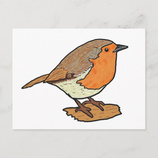 Robin Postkarte (Vorderseite)