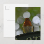 Robin Postkarte (Vorne/Hinten)