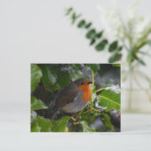Robin Postkarte (Stehend Vorderseite)