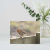 Robin Postkarte (Stehend Vorderseite)