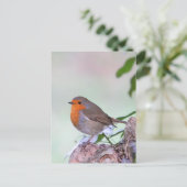 Robin Postkarte (Stehend Vorderseite)