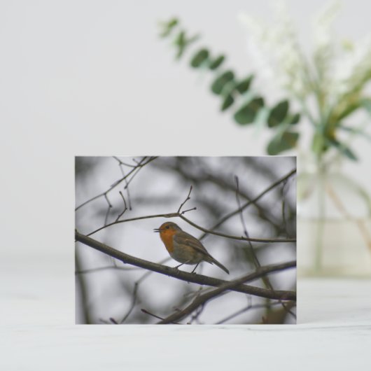 Robin  postkarte (Stehend Vorderseite)