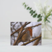 Robin Postkarte (Stehend Vorderseite)
