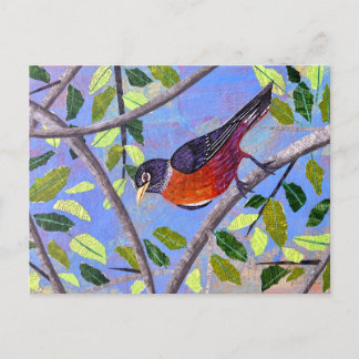 Robin Postkarte